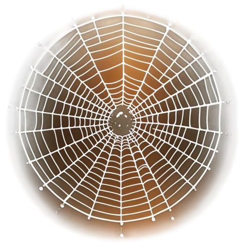 spider network,harvestman,spider silk,spider web,tangle-web spider,spider's web,spiderweb,spider net,cobweb,acorn leaf orb web spider,araneus,web element,orb-weaver spider,web,webbing,spider the golden silk,harvestmen,funnel web spider,chair circle,spirograph,Unique,Design,Logo Design