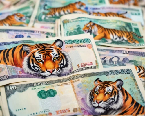 indonesian rupiah,tigers,south africa zar,bengal,seychellois rupee,thai baht,asian tiger,brazilian real,sri lankan rupee,banknotes,tiger png,type royal tiger,tiger,polymer money,usd,a tiger,ghanaian cedi,bengal tiger,royal tiger,yuan,Unique,3D,Panoramic