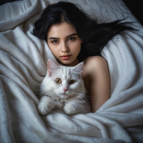 cat in bed,romantic portrait,cat lovers,cat resting,girl in bed,two cats,white cat,woman on bed,cat,cute cat,cuddled up,cat image,human and animal,cat love,kitten,domestic cat,dog and cat,kat,relaxed young girl,feline,Photography,Documentary Photography,Documentary Photography 08