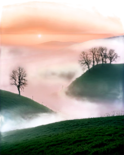 foggy landscape,landscape background,fog banks,rural landscape,nature landscape,landscape nature,green landscape,lone tree,morning mist,fantasy landscape,landscape photography,meadow landscape,landscapes,farm landscape,sea of fog,isolated tree,natural landscape,veil fog,beautiful landscape,home landscape,Photography,Documentary Photography,Documentary Photography 32