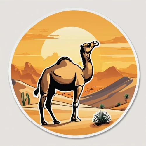 dromedary,desert background,altiplano,camel,dromedaries,two-humped camel,male camel,camelid,desert safari,merzouga,arabian camel,desert landscape,desert desert landscape,bazlama,bactrian camel,shadow camel,desert,camelride,camels,sahara desert,Unique,Design,Sticker