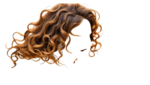 ringlet,artificial hair integrations,s-curl,lace wig,gypsy hair,curl,open locks,sigourney weave,curly string,management of hair loss,weave,hair,hair shear,merida,hairgrip,burning hair,curls,surfer hair,layered hair,curly,Photography,Black and white photography,Black and White Photography 15