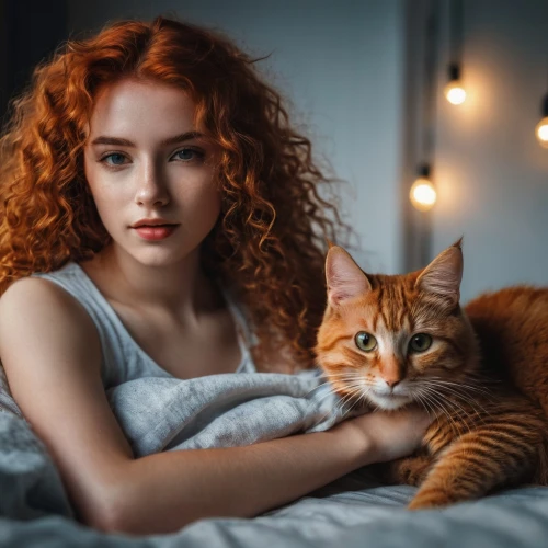 ginger cat,romantic portrait,ginger kitten,kat,redheads,red tabby,red cat,cat in bed,merida,red-haired,cat,cat european,cat lovers,two cats,cat image,red head,woman on bed,ritriver and the cat,cute cat,kitten,Photography,Documentary Photography,Documentary Photography 08