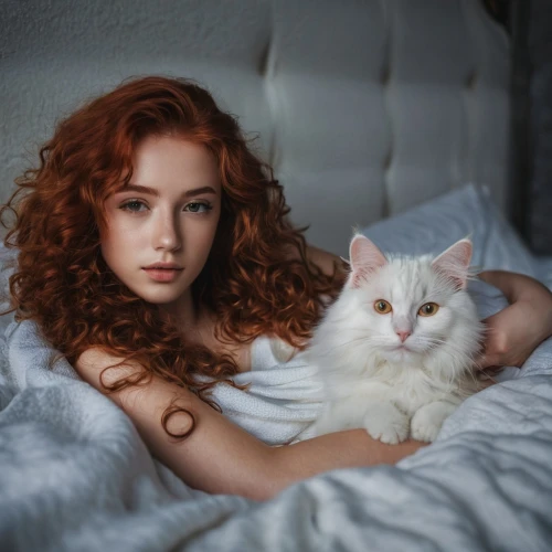 ginger cat,romantic portrait,turkish van,white cat,american curl,cat in bed,kat,red tabby,selkirk rex,woman on bed,redheads,siberian cat,ginger kitten,girl in bed,cat,turkish angora,kurilian bobtail,cats angora,two cats,merida,Photography,Documentary Photography,Documentary Photography 08