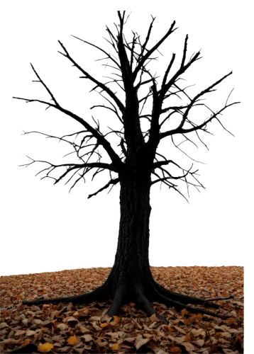 halloween bare trees,tree die,dead wood,deciduous tree,tree thoughtless,slippery elm,deforested,deciduous trees,isolated tree,brown tree,defoliation,creepy tree,dead tree,tree and roots,vinegar tree,jaggery tree,deciduous,burnt tree,scratch tree,the roots of trees,Illustration,American Style,American Style 07