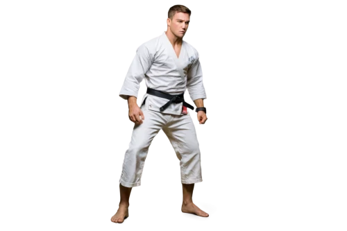 martial arts uniform,judo,kenjutsu,marine corps martial arts program,shidokan,karate,haidong gumdo,shorinji kempo,black belt,daitō-ryū aiki-jūjutsu,jujitsu,tang soo do,taekwondo,taekkyeon,dobok,buchardkai,aikido,brazilian jiu-jitsu,sōjutsu,martial arts,Illustration,American Style,American Style 08