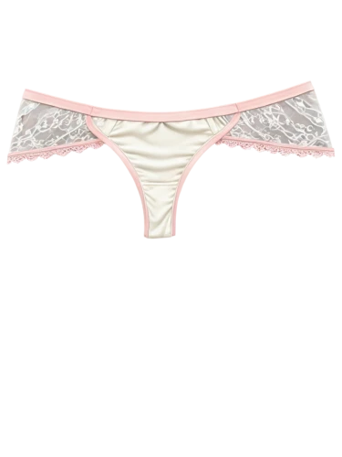 undergarment,women's cream,swim brief,white-pink,baby bloomers,garter,underpants,lace border,panties,floral mockup,underwear,pink flower white,white pink,pollen panties,clove pink,flamingo pattern,damask,window valance,light pink,eyelet,Art,Artistic Painting,Artistic Painting 34