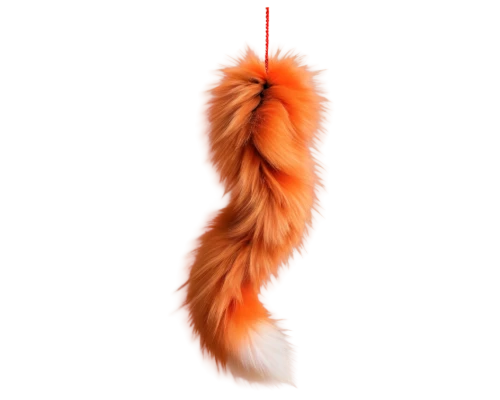 foxtail,garden-fox tail,cat tail,tail,fluffy tail,bunny tail,tails,the fur red,doubletail,shetland sheepdog tricolour,furry,cat toy,chicken feather,feather boa,dog toy,rose tail,feather jewelry,cattail,british semi-longhair,golden lion tamarin,Conceptual Art,Daily,Daily 27