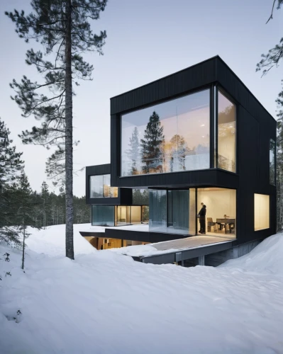 winter house,cubic house,snow house,cube house,timber house,snowhotel,house in the forest,modern house,inverted cottage,modern architecture,house in mountains,snow roof,snow shelter,house in the mountains,frame house,dunes house,wooden house,mirror house,danish house,residential house,Photography,Documentary Photography,Documentary Photography 04