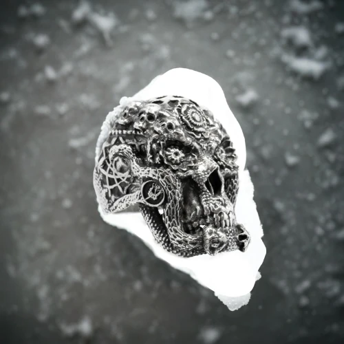 skull sculpture,skull statue,animal skull,a pistol shaped gland,human skull,skull,bird skull,fetus skull,cattle skull,solidified lava,frozen poop,asteroid,fossilized resin,snow owl,skull drawing,dead bolt,death's head,x-ray of the jaw,door knocker,skull illustration