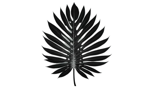 palm tree vector,black feather,fern leaf,laurel wreath,tropical leaf,prince of wales feathers,palm leaf,palm tree silhouette,cycad,tropical leaf pattern,card thistle,black salsify,raven's feather,spear thistle,frond,hawk feather,pineapple lily,fishtail palm,fan leaf,jungle leaf,Illustration,American Style,American Style 11