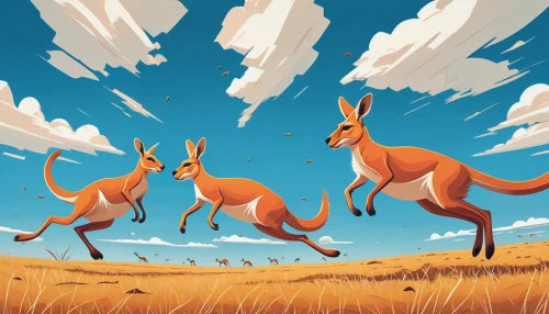 kangaroos,kangaroo mob,antelopes,red kangaroo,fox stacked animals,australian wildlife,hares,macropodidae,gazelles,foxes,antelope,kangaroo,hare field,deer illustration,hare trail,wallabies,hare coursing,fox hunting,whimsical animals,animal migration,Illustration,Vector,Vector 06