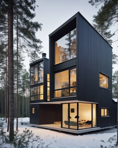 cubic house,timber house,cube house,house in the forest,wooden house,inverted cottage,scandinavian style,modern architecture,modern house,frame house,winter house,danish house,small cabin,snow house,snowhotel,house shape,mirror house,cube stilt houses,dunes house,summer house,Photography,Documentary Photography,Documentary Photography 04