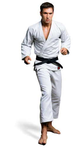 judo,buchardkai,haidong gumdo,martial arts uniform,jujitsu,karate,kenjutsu,shorinji kempo,shidokan,iaijutsu,black belt,dobok,sōjutsu,kurash,daitō-ryū aiki-jūjutsu,brazilian jiu-jitsu,jujutsu,tang soo do,taekkyeon,aikido,Conceptual Art,Daily,Daily 05