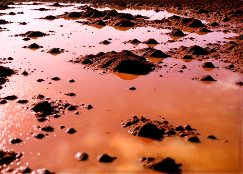 red sand,mars i,red planet,planet mars,red earth,mars rover,martian,mars probe,rust-orange,sossusvlei,alien planet,alien world,salt desert,iron ore,moonscape,metal rust,venus surface,soil erosion,barren,mission to mars,Illustration,Retro,Retro 21