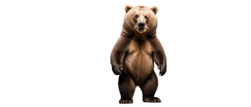 scandia bear,nordic bear,bear,kodiak bear,sun bear,great bear,cute bear,brown bear,ursa,grizzly,bear kamchatka,canidae,slothbear,bear bow,bear teddy,tamaskan dog,left hand bear,bears,mustelid,bearskin,Art,Artistic Painting,Artistic Painting 34