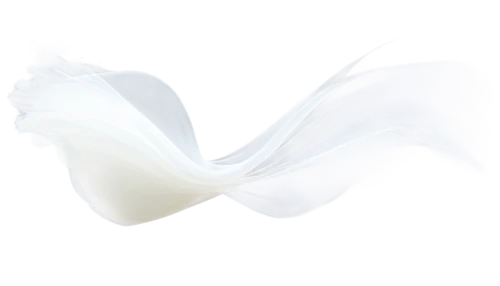 white feather,swan feather,white lily,giant white arum lily,fujian white crane,white silk,flowers png,white trumpet lily,peace lilies,calla lily,white swan,tulip white,white floral background,dove of peace,feather carnation,peace lily,hymenocallis,white flower,alpino-oriented milk helmling,white petals,Conceptual Art,Fantasy,Fantasy 11