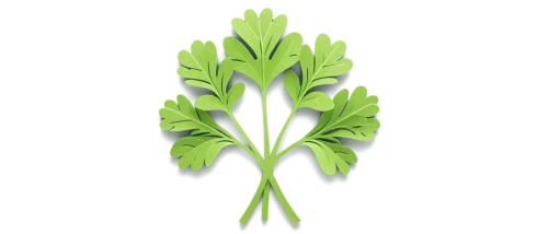 parsley leaves,celery stalk,celery plant,wild celery,shrub celery,endive,chinese celery,cabbage leaves,fennel,sea beet,leaf lettuce,celery,leaf vegetable,water spinach,parsley,fennel pondweed,mugwort,rapini,cilantro,pak-choi,Unique,Paper Cuts,Paper Cuts 03
