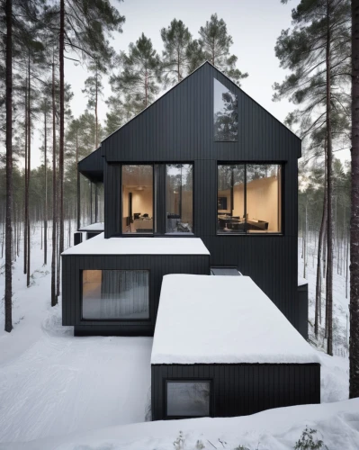 inverted cottage,winter house,cubic house,house in the forest,timber house,snow house,snow roof,snowhotel,cube house,snow shelter,mirror house,wooden house,scandinavian style,small cabin,frame house,house in mountains,the cabin in the mountains,summer house,house in the mountains,modern house,Photography,Documentary Photography,Documentary Photography 04