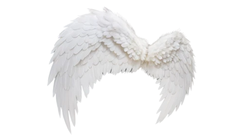 angel wings,angel wing,winged heart,crying angel,wings,winged,love angel,vintage angel,fallen angel,angelology,angel figure,angel’s tear,angel,business angel,guardian angel,angels,delta wings,uriel,wing,bird wings,Illustration,Japanese style,Japanese Style 13