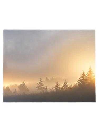 foggy landscape,morning fog,morning mist,early fog,fog banks,foggy mountain,dense fog,mists over prismatic,north american fog,veil fog,mountain sunrise,emission fog,fog,autumn fog,landscape background,mist,high fog,foggy forest,mendocino,sunburst background,Art,Artistic Painting,Artistic Painting 48