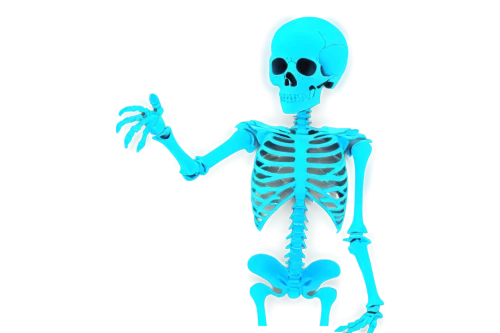 skeleltt,skeletal,skeleton,human skeleton,calcium,vintage skeleton,skeletal structure,skeletons,skeleton hand,bone,halloween vector character,bones,3d figure,wall,png transparent,day of the dead skeleton,xray,fetus skull,bowl bones,png image,Illustration,Realistic Fantasy,Realistic Fantasy 04