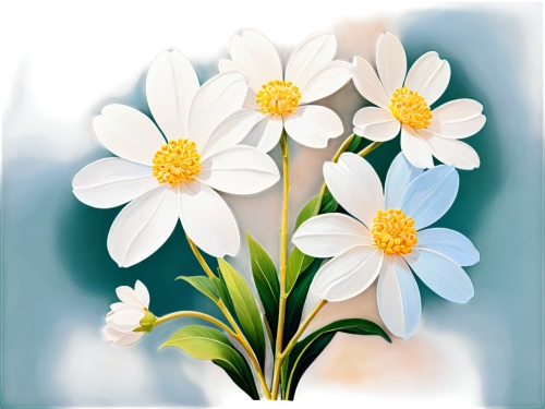 stitchwort,marguerite daisy,wood anemone,wood daisy background,snowdrop anemones,white daisies,wood anemones,white anemones,shasta daisy,oxeye daisy,daisy flowers,genus anemone,flower illustrative,flowers png,mayweed,leucanthemum,white cosmos,flannel flower,flower background,ox-eye daisy,Conceptual Art,Oil color,Oil Color 25