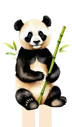 bamboo,bamboo flute,bamboo plants,chinese panda,panda,bamboo frame,bamboo curtain,hanging panda,little panda,chopstick,panda bear,lucky bamboo,giant panda,chopsticks,pan flute,kawaii panda,my clipart,bamboo scissors,pandabear,pandas,Illustration,Paper based,Paper Based 24