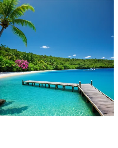 praslin,seychelles,caribbean,antilles,the caribbean,curacao,caribbean sea,caribbean beach,jamaica,fiji,dream beach,west indies,dominican republic,carribean,martinique,roatan,veligandu island,southern island,tropical beach,beautiful beaches,Illustration,Black and White,Black and White 06