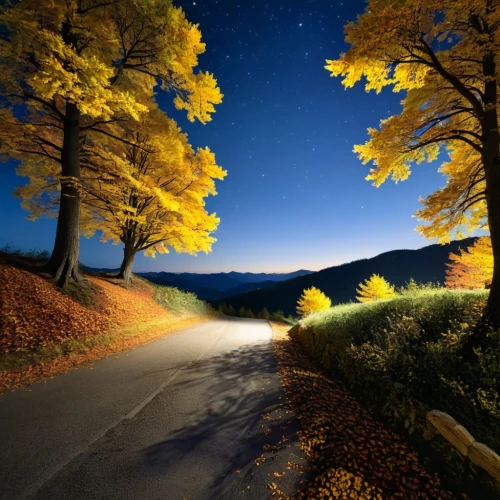 autumn background,autumn scenery,autumn landscape,fall landscape,landscape background,autumn mountains,mountain road,golden autumn,maple road,country road,beautiful landscape,landscapes beautiful,colors of autumn,winding road,colorful star scatters,light of autumn,autumn trees,the autumn,the road,tree lined lane,Photography,Black and white photography,Black and White Photography 15