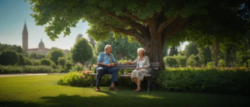 3d rendering,garden bench,digital compositing,english garden,idyll,render,tuileries garden,3d render,3d rendered,garden swing,tree with swing,the girl next to the tree,walnut trees,plane-tree family,old couple,poplar tree,linden tree,park bench,kensington gardens,robinia