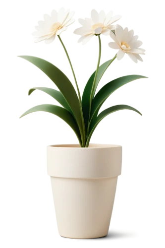 easter lilies,peace lilies,flowers png,laelia,white lily,sego lily,white orchid,white trumpet lily,palm lily,pontederia,peace lily,crinum,tulip white,lilium candidum,hymenocallis,potted palm,ikebana,flowerpot,citronella,potted plant,Art,Artistic Painting,Artistic Painting 46