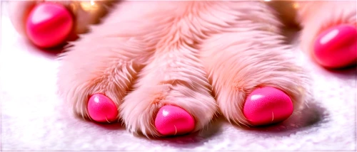 pink cat,dog cat paw,cat's paw,paw,dog paw,the pink panter,pawprint,pawprints,paws,pink panther,cat paw mist,cats angora,paw print,paw prints,polydactyl cat,talons,toes,claws,pink,the pink panther,Conceptual Art,Daily,Daily 31