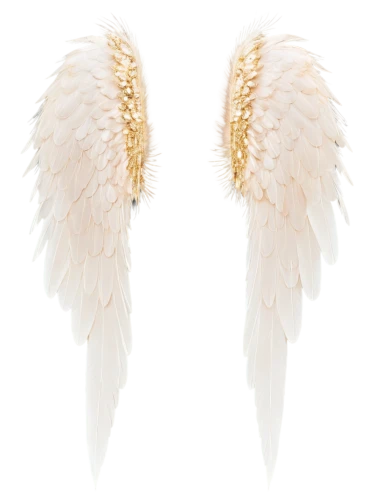 angel wings,feather jewelry,angel wing,angels,wings,angel trumpets,vintage angel,feather headdress,delta wings,bird wings,winged,feathers,christmas angels,winged heart,bridal accessory,white feather,wingtip,wing,crying angel,angel's trumpets,Illustration,Retro,Retro 03