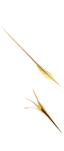 spikelets,enokitake,feather bristle grass,hare tail grasses,yellow nutsedge,grass blades,elymus repens,black salsify,grass fronds,reed grass,decorative arrows,quills,wheat ear,hare tail grass,cattail,dried grass,hand draw vector arrows,tweezers,strand of wheat,bobby pin,Conceptual Art,Sci-Fi,Sci-Fi 24