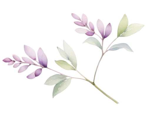 flowers png,small-leaf lilac,lilac branch,soprano lilac spoon,syringa,fernleaf lavender,tuberose,a sprig of white lilac,lilac branches,lupinus mutabilis,common lilac,magnolia × soulangeana,flower illustration,magnolia,chinese magnolia,tulip magnolia,lilacs,floral digital background,syringa vulgaris,magnolias,Art,Artistic Painting,Artistic Painting 27