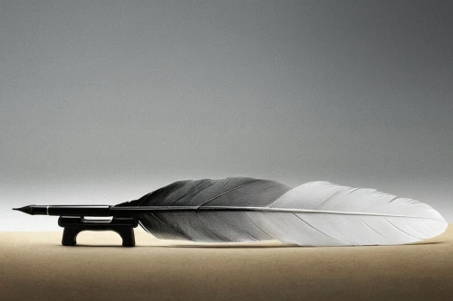 admer dune,conceptual photography,chaise longue,sand board,road cover in sand,sand dune,shifting dune,folded paper,3d car wallpaper,dune landscape,gramophone,chaise,dune,automobile hood ornament,dinghy,surfboard fin,surfboard shaper,the gramophone,high-dune,automotive design,Photography,Artistic Photography,Artistic Photography 06