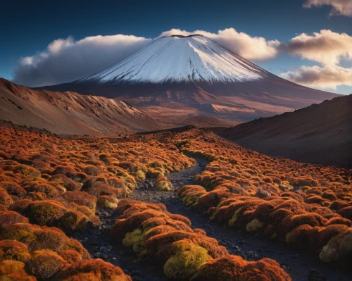 mount taranaki,tongariro,mount fuji,volcanic landscape,fuji mountain,japanese mountains,mt fuji,taranaki,japan landscape,autumn mountains,autumn in japan,kamchatka,fuji,tongariro national park,volcanic landform,autumn landscape,mount ngauruhoe,beautiful japan,volcanic field,autumn scenery,Photography,General,Commercial