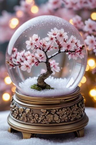 snow globes,snow globe,snowglobes,crystal ball-photography,sakura wreath,cherry blossom tree,cold cherry blossoms,cherry blossom branch,sakura tree,frozen soap bubble,frozen bubble,japanese cherry blossom,japanese floral background,japanese cherry blossoms,sakura blossoms,sakura mochi,crystal ball,glass ornament,sakura flower,blossom tree,Illustration,Realistic Fantasy,Realistic Fantasy 32