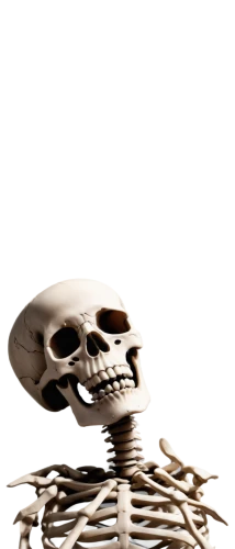 skeletal,human skeleton,skeleton,vintage skeleton,skeleltt,calcium,bone,skeletal structure,wood skeleton,bones,skeletons,skull bones,bowl bones,chair png,scull,fetus skull,day of the dead skeleton,pile of bones,skull statue,png transparent,Art,Classical Oil Painting,Classical Oil Painting 26