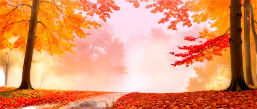 autumn background,autumn forest,autumn scenery,autumn landscape,fall landscape,autumn theme,autumn idyll,autumn trees,autumn morning,autumn day,background vector,autumn walk,landscape background,autumn,the autumn,autumn fog,cartoon video game background,colors of autumn,autumn leaves,just autumn,Illustration,Japanese style,Japanese Style 19