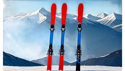 ski equipment,ski touring,downhill ski binding,ski binding,telemark skiing,alpine skiing,ski cross,skis,skiers,ski race,backcountry skiiing,ski mountaineering,skiing,piste,monoski,nordic skiing,cross-country skiing,crampons,winter sports,ski,Illustration,Retro,Retro 16