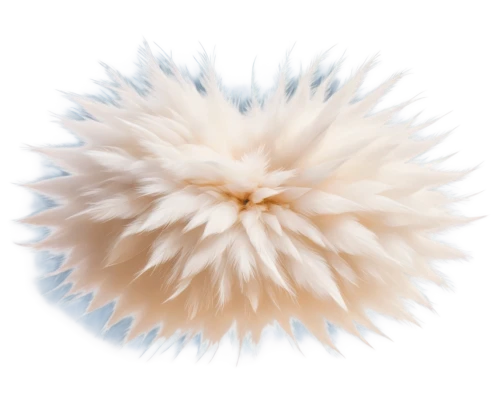 sea-urchin,pompom,sea urchin,conifer cone,flaccid anemone,sea anemone,spiny sea shell,blowball,buttonbush,enokitake,large anemone,pom-pom,hedgehog head,urchin,filled anemone,spiny,gradient mesh,ostrich feather,star anemone,new world porcupine,Conceptual Art,Daily,Daily 12