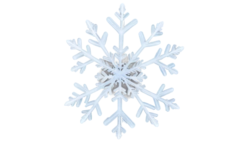 snowflake background,blue snowflake,snow flake,white snowflake,christmas snowflake banner,snowflake,ice crystal,summer snowflake,white rose snow queen,snowflakes,gold foil snowflake,wreath vector,art deco ornament,the snow queen,snowflake cookies,crystalline,glass ornament,fire flakes,snow tree,red snowflake,Photography,Black and white photography,Black and White Photography 13