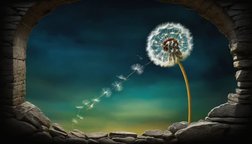 dandelion background,game illustration,fairy chimney,fantasy picture,android game,cartoon video game background,life stage icon,solomon's plume,spiral background,digital compositing,stone background,sunburst background,fantasy art,play escape game live and win,dandelion flying,mobile video game vector background,world digital painting,heaven gate,magic wand,fantasy landscape,Illustration,Abstract Fantasy,Abstract Fantasy 19