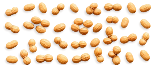 almond nuts,pine nuts,almonds,pine nut,unshelled almonds,corn kernels,kernels,almond,indian almond,salted almonds,cashew nuts,grain ears,pumpkin seeds,peanuts,salted peanuts,soybean,cowpea,pistachio nuts,legume,legume family,Conceptual Art,Fantasy,Fantasy 05