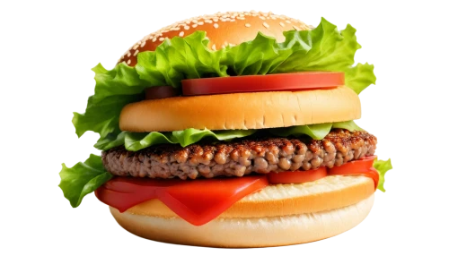 burger emoticon,cheeseburger,hamburger,burger king premium burgers,burguer,burger,veggie burger,hamburgers,hamburger vegetable,burgers,cheese burger,classic burger,big hamburger,the burger,hamburger plate,gaisburger marsch,buffalo burger,fastfood,whopper,diet icon,Conceptual Art,Oil color,Oil Color 19