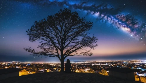 the night sky,katoomba,magic tree,night sky,the milky way,night image,astronomy,meteoritical,starry sky,night photography,cielo,isolated tree,milky way,astronomico,night photo,star sky,long exposure,astronomical,baguio,quito,Photography,General,Realistic