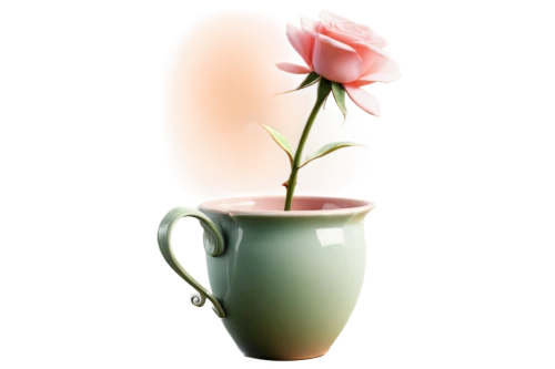 tea cup,tulip background,flower tea,flower vase,blooming tea,vase,teacup,fragrance teapot,flowers png,coffee tea illustration,teacup arrangement,cup,tea light,pink tulip,tea rose,a cup of water,watering can,flower illustrative,porcelain tea cup,rose flower illustration,Conceptual Art,Sci-Fi,Sci-Fi 07