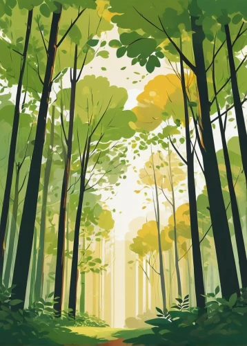 forest background,forest,forests,green forest,forest landscape,the forest,cartoon forest,the forests,forest path,forest walk,deciduous forest,autumn forest,forested,wooded,nature background,background vector,forest glade,forest floor,mixed forest,forest road,Illustration,Vector,Vector 01
